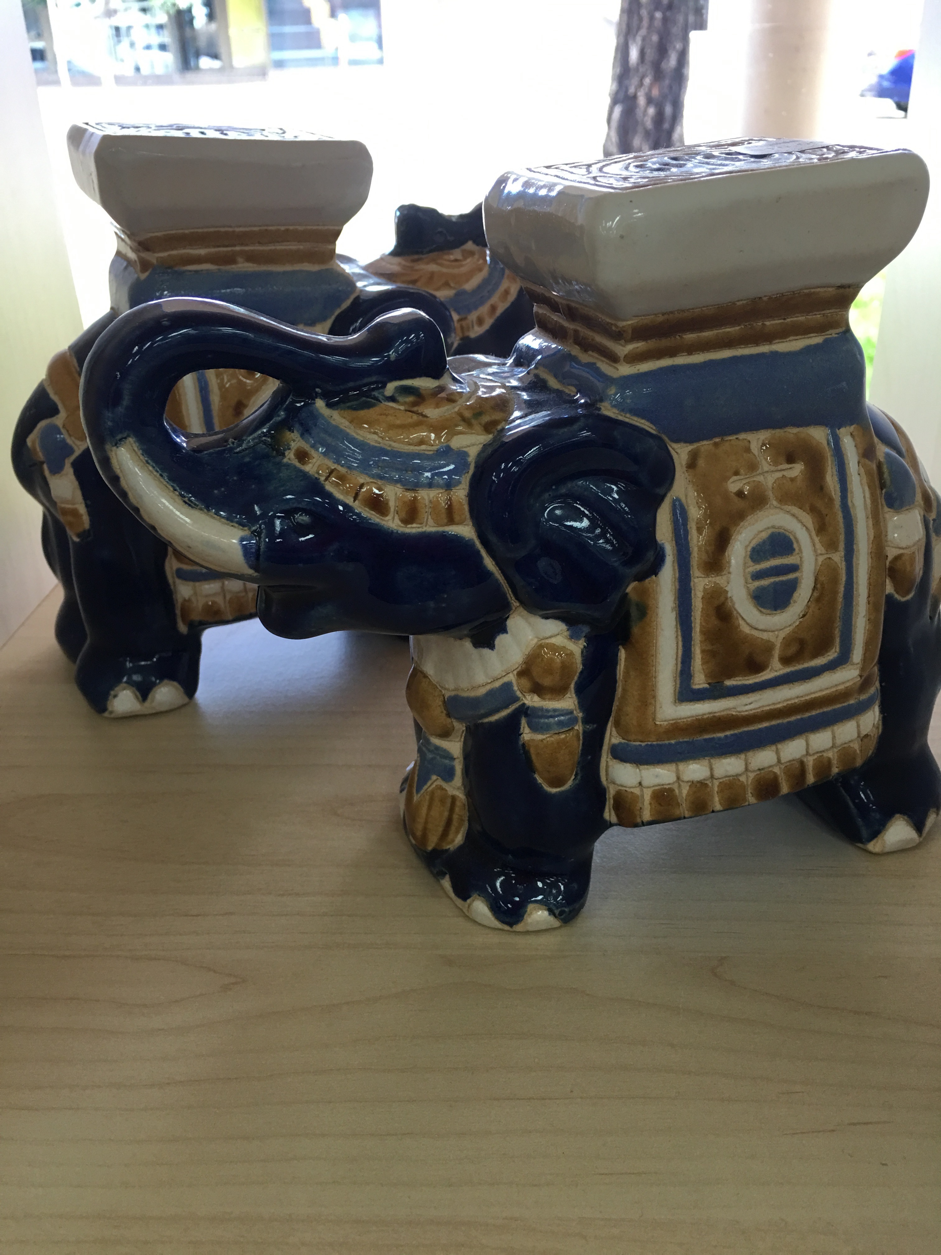 Elephants spotted at Vinnies