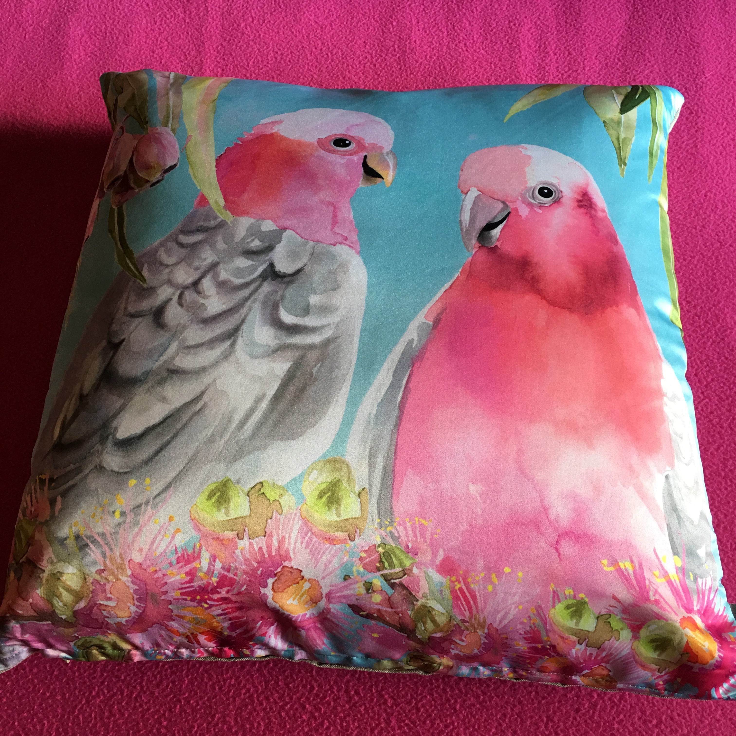 Galah cushion