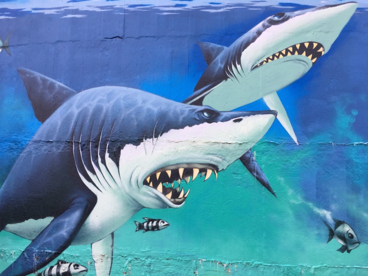 Shark Tank, water reservoir, Katoomba