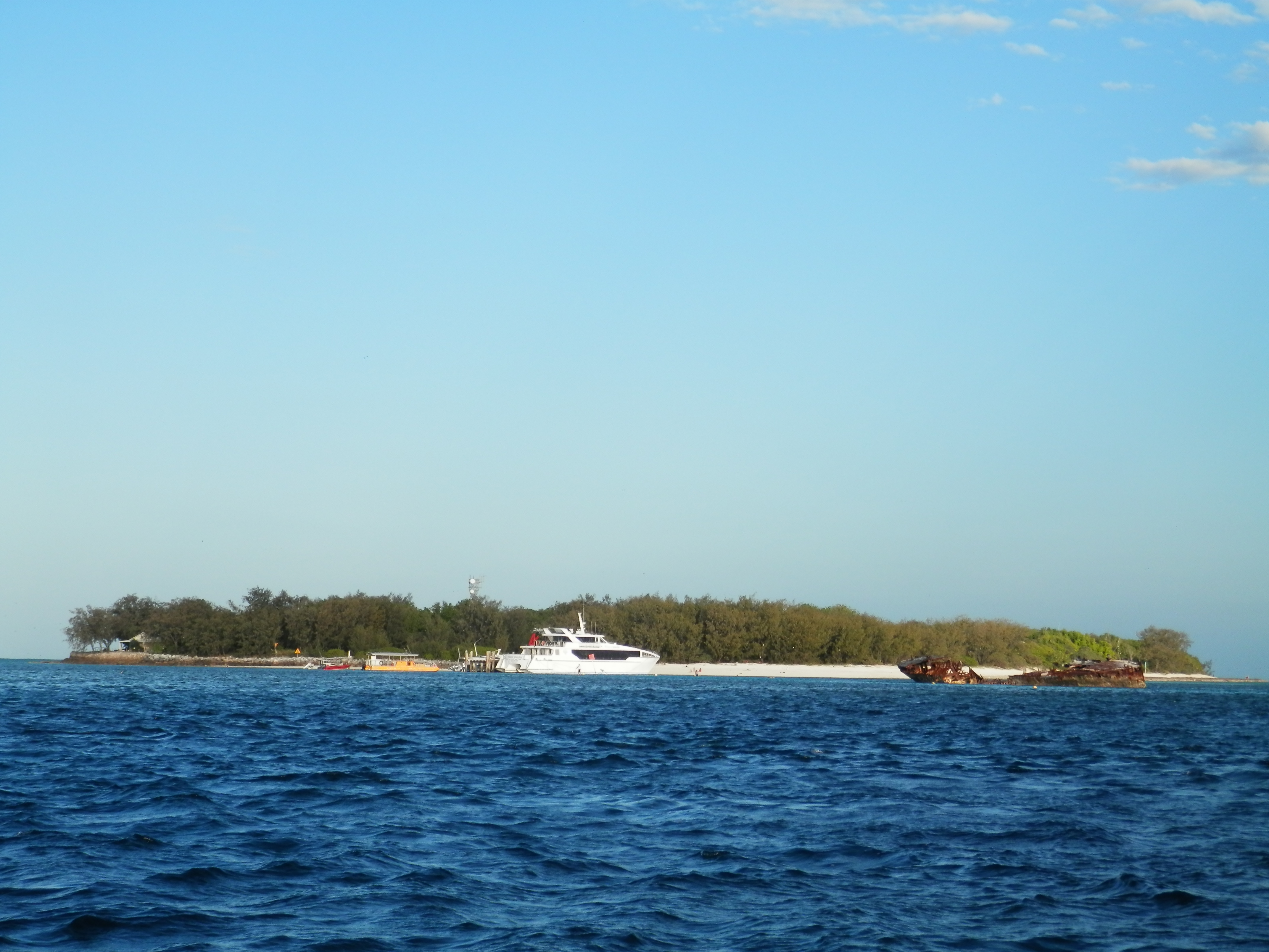 Heron Island