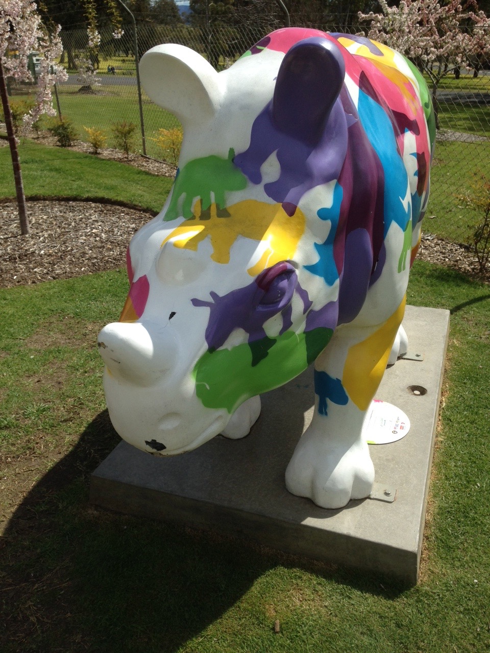 Rhino at Cowra