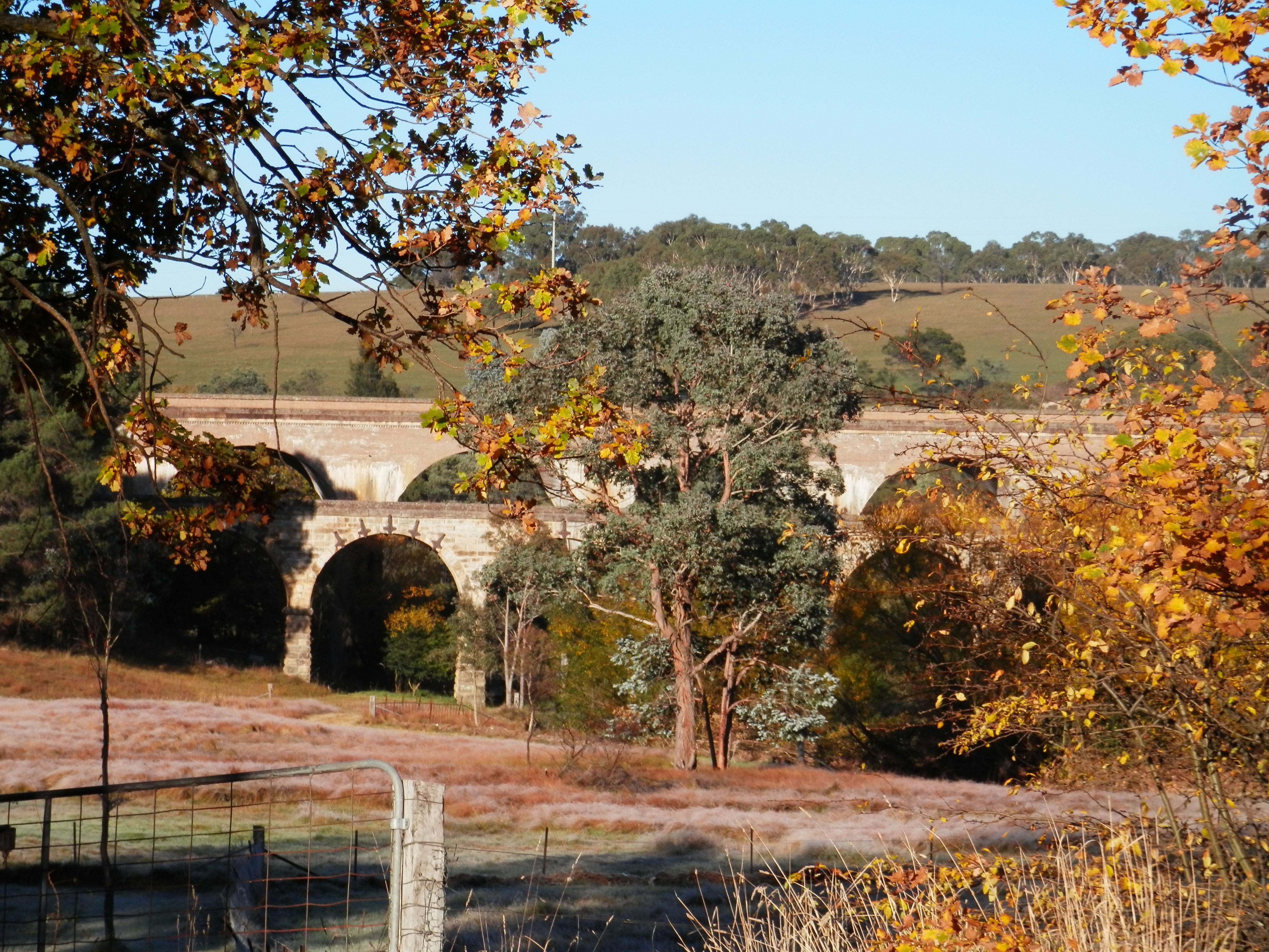 Lithgow viaducts