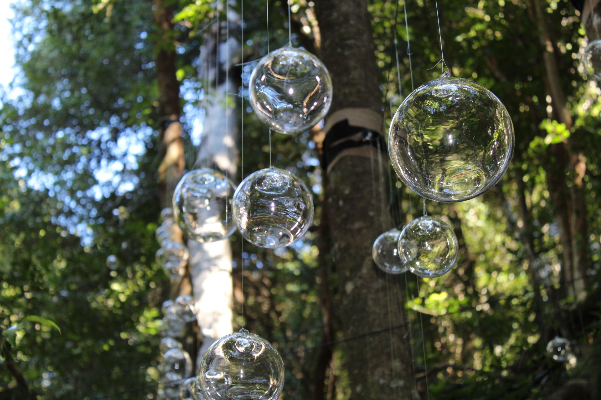 Illusion by Kayo Yokoyama