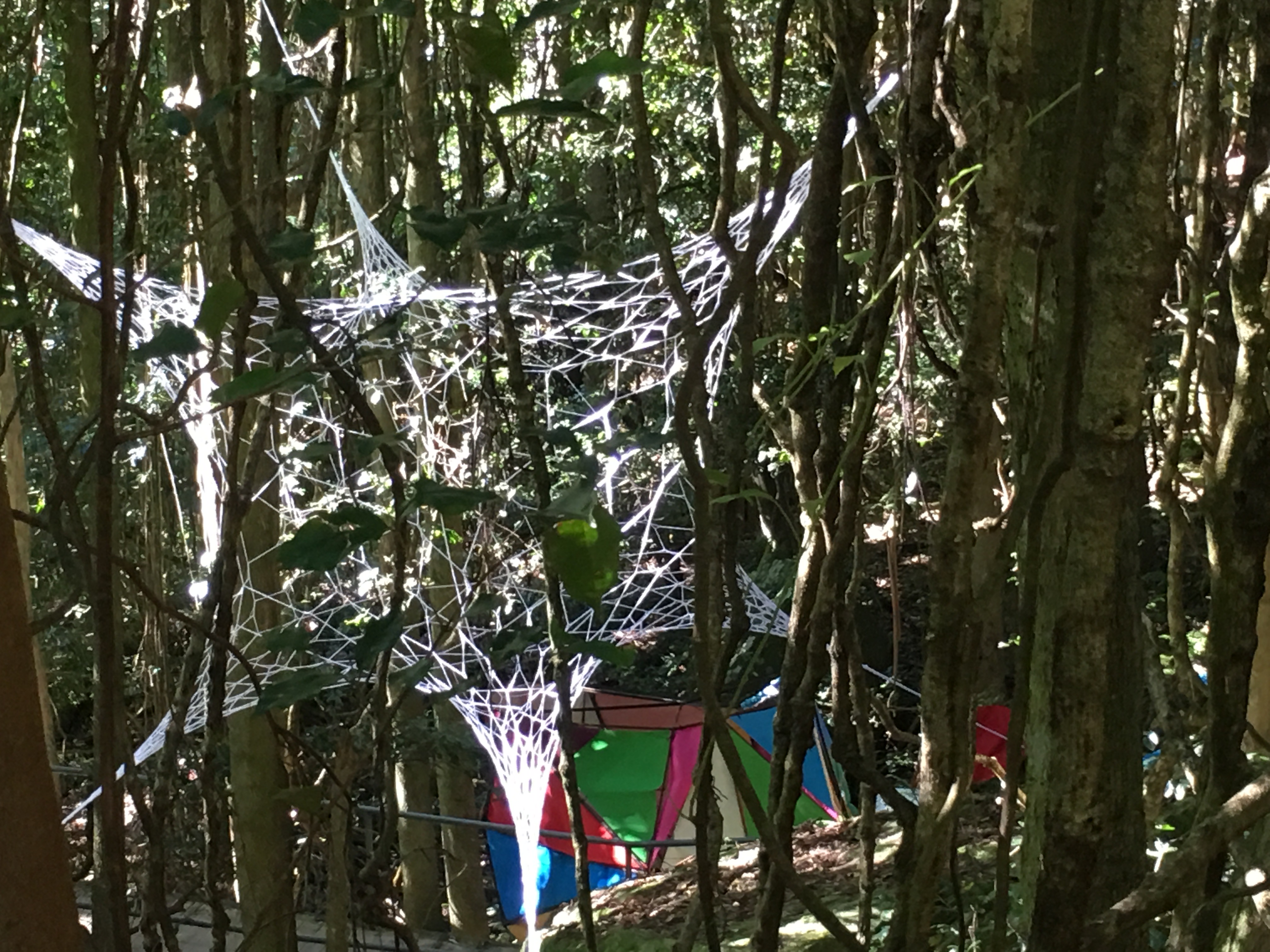 3D Webs by Louisa Magrics with La Subida Rhizome (The Rise Rhizome) by Miguel Valenzuela &amp; Francois Limondin in background