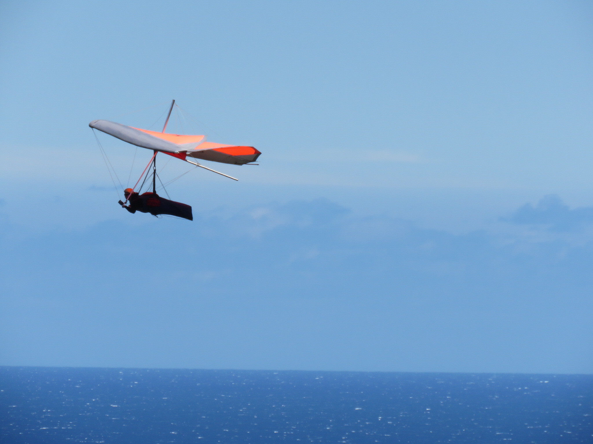 95FF623C-5C85-4438-A2B0-174523D71709