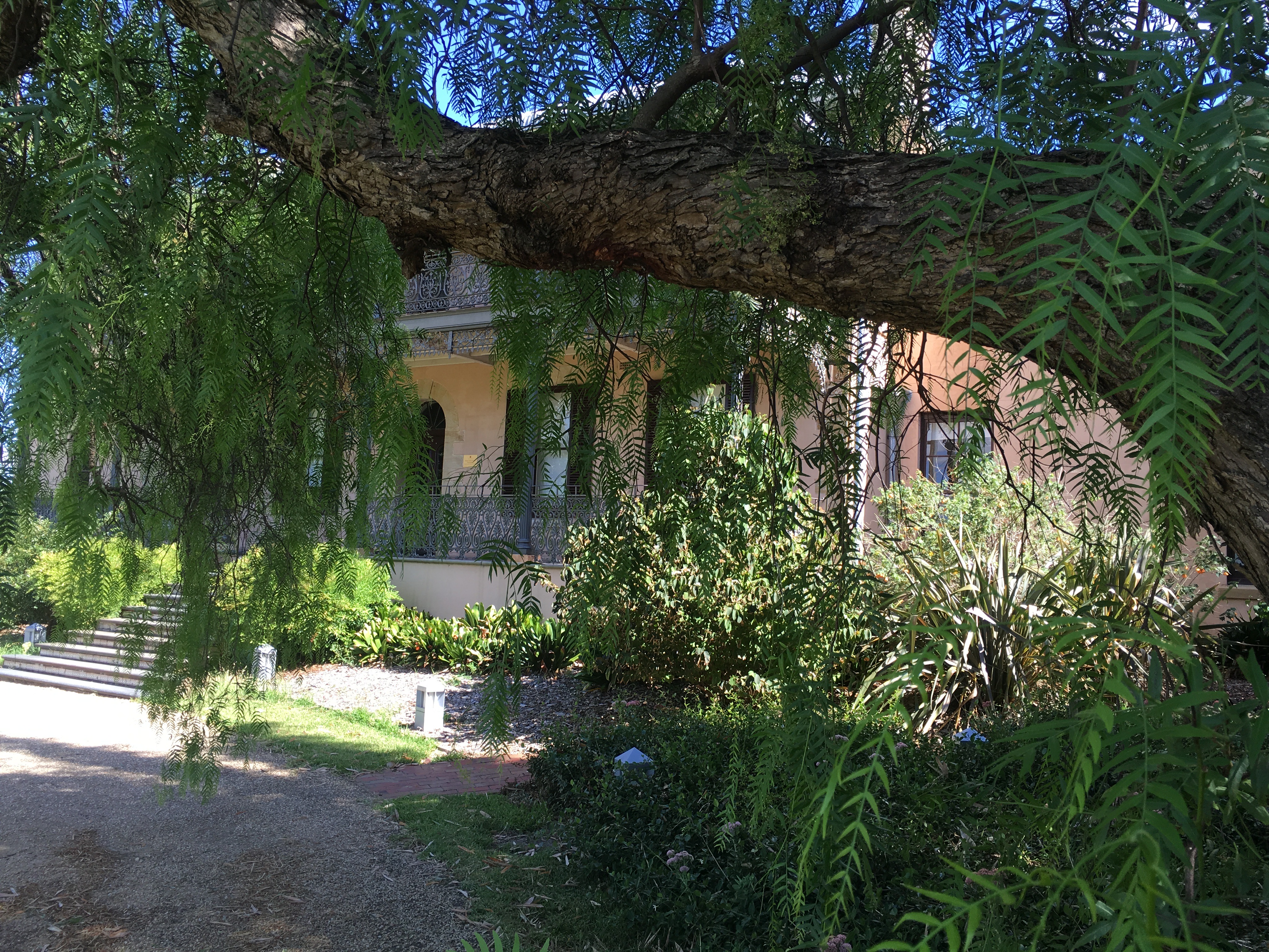 Brush Farm at Eastwood, softened by greenery