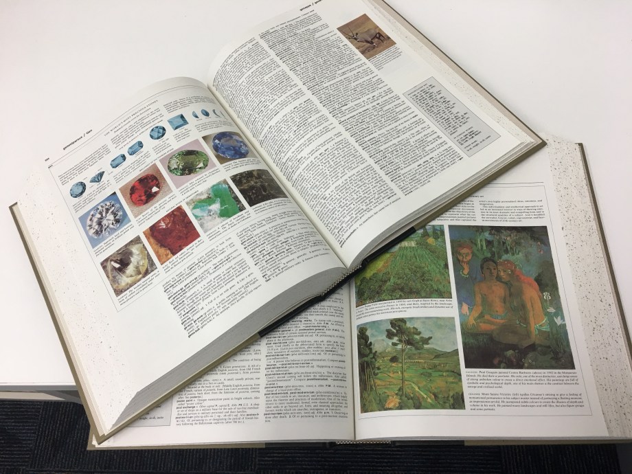 Sample pages from the dictionary