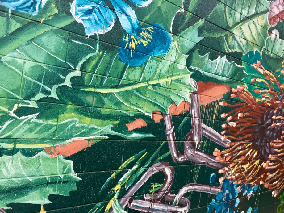 The Canadian Connection by Fintan Magee