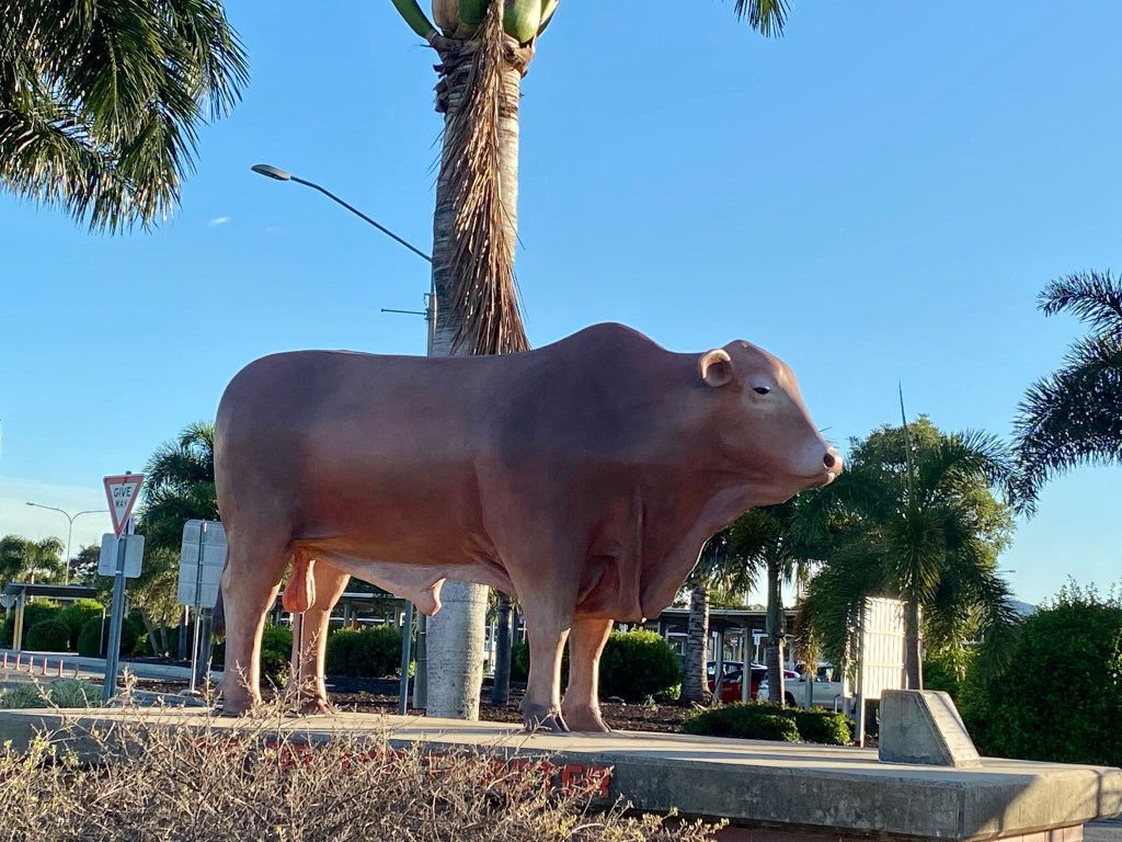 Droughtmaster bull statue, Rockhampton Airport