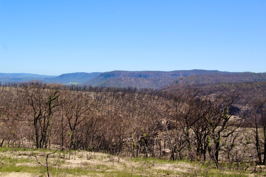 Landscape near Bell after the bushfires