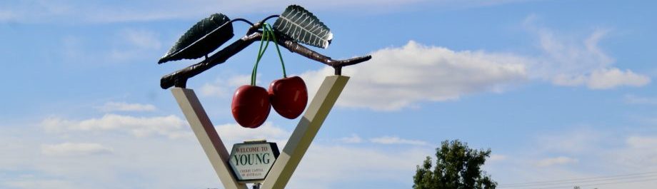 Welcome to Young sign