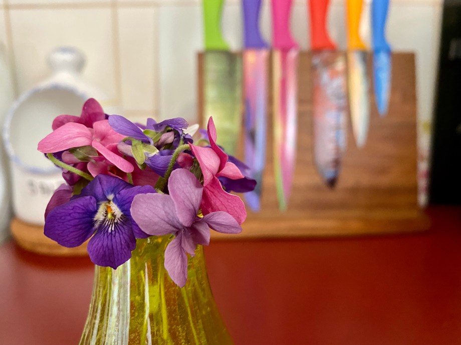 Violets from my garden