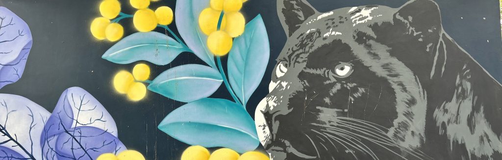 Black Panther mural, Lithgow