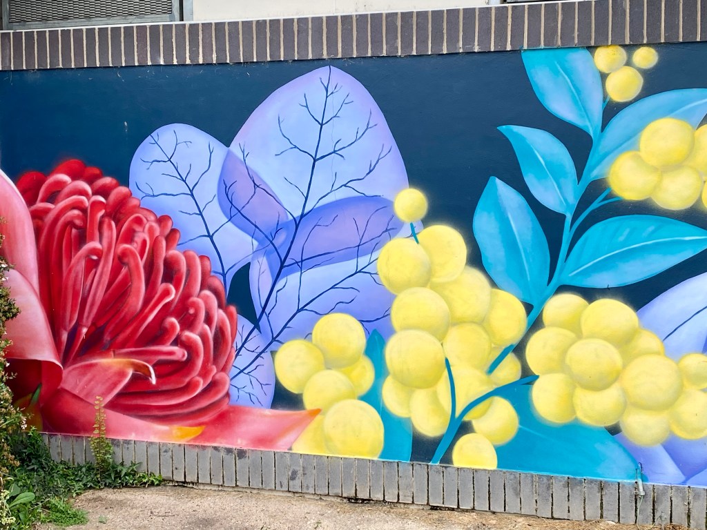 Mural in Queen Elizabeth Park, Lithgow by Mandy Schone-Salter