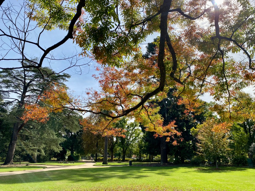 Albury Botanic Gardens