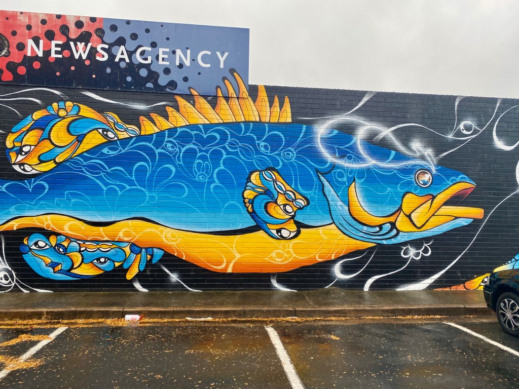 Murray Cod by Lukas Kasper, Wodonga