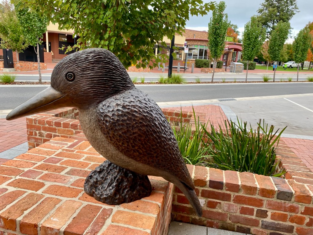 Smiling Kookaburra by Dean Bowen, Wodonga