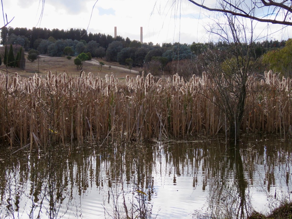 Lake Wallace, Wallerawang