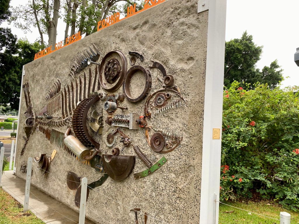 Macintyre Cod Fossil by Angus Wilson